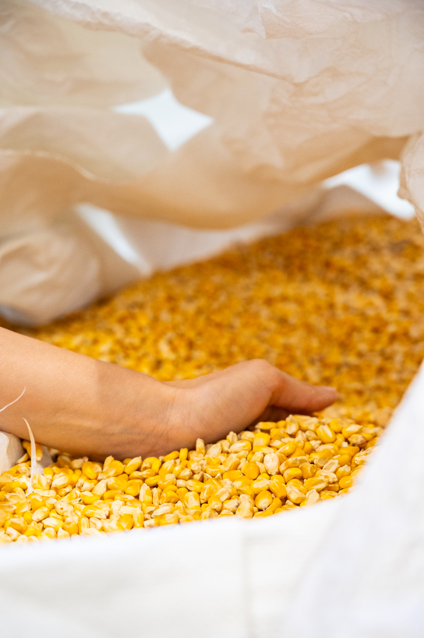 Texas grain